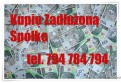 Kupię Zadłużoną Spółkę Skuteczna Ochrona 299 586 K.s.h. UKS KAS