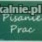 Profesjonalne Pisanie i Redagowanie Prac Profesjonalne Pisanie i Redagowanie Prac