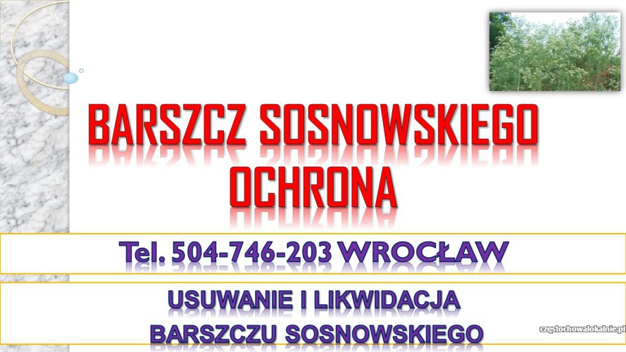 4_firma_usuwajaca_barscz_sosnowskiego_cennik.jpg
