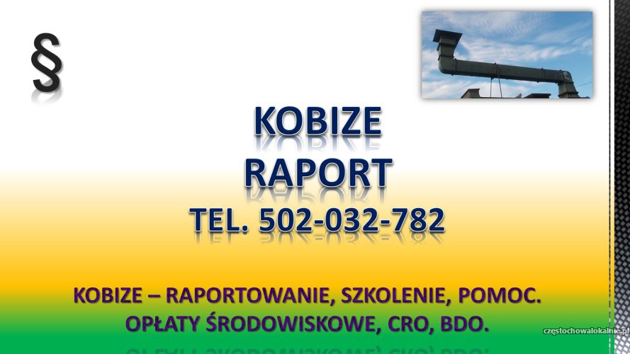 Raport do Kobize cena. tel. 502-032-782. Zgłoszenie, cennik