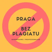 Zawodowe Pisanie Prac