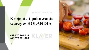 Praca na produkcji w Holandii- bez języka, wysokie wynagrodzenie Praca na produkcji w Holandii- bez języka, wysokie wynagrodzenie