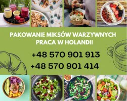 Praca za granicą- Holandia- wysokie zarobki Praca za granicą- Holandia- wysokie zarobki