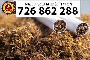 Bardzo Dobrej Jakości TYTOŃ 80 PLN/1KG Bardzo Dobrej Jakości TYTOŃ 80 PLN/1KG