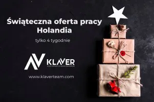 Zarób przed świętami - krótki wyjazd do Holandii! Zarób przed świętami - krótki wyjazd do Holandii!