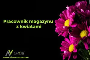 Praca za granicą- Pracownik magazynu z kwiatami- od zaraz! Praca za granicą- Pracownik magazynu z kwiatami- od zaraz!