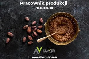 Praca w Holandii- Pracownik produkcji kakao- praca od zaraz! Praca w Holandii- Pracownik produkcji kakao- praca od zaraz!