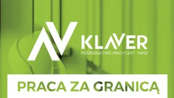 Wyjazd po świętach do Holandii! Praca przy kwiatach Wyjazd po świętach do Holandii! Praca przy kwiatach