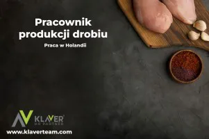 Praca za granicą- Pracownik produkcji drobiu- praca od zaraz! Praca za granicą- Pracownik produkcji drobiu- praca od zaraz!
