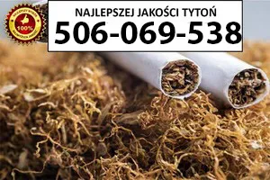 Bardzo Dobrej Jakości TYTOŃ 85 PLN/1KG Bardzo Dobrej Jakości TYTOŃ 85 PLN/1KG