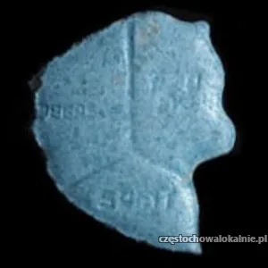eski-kupisz-na-xtcalien-zapraszamy-50167-sprzedam.webp