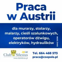 Cieśla Szalunkowy Austria Nowe Wyższe Stawki Cieśla Szalunkowy Austria Nowe Wyższe Stawki