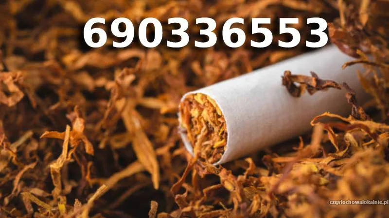 Bardzo Dobrej Jakości tani TYTOŃ na wagę 85 PLN/1KG