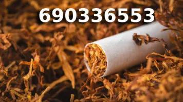 Bardzo Dobrej Jakości tani TYTOŃ na wagę 85 PLN/1KG Bardzo Dobrej Jakości tani TYTOŃ na wagę 85 PLN/1KG