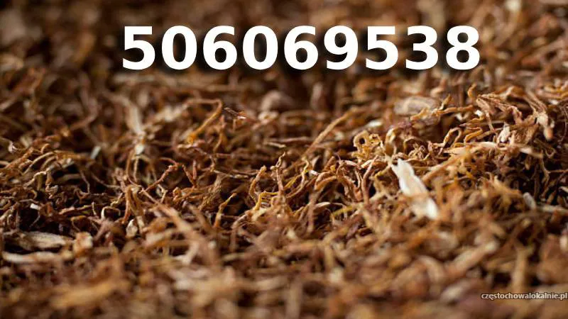 Bardzo Dobrej Jakości tani TYTOŃ na wagę 90 PLN/1KG